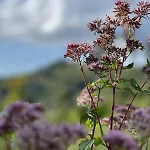 Casa Casa vacanze Ferrara di Monte Baldo