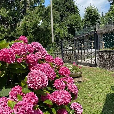Nyaraló Casa *