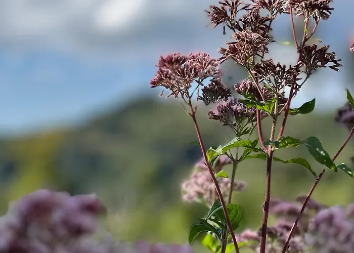 Casa Holiday home Ferrara di Monte Baldo